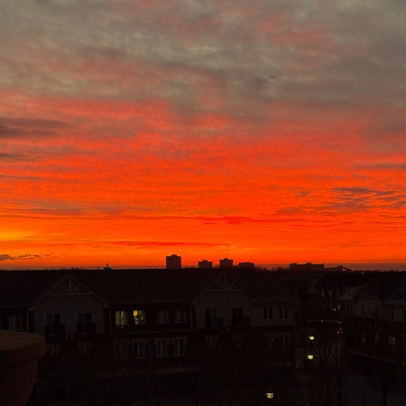 Meet your Posher, TIna 💖 - Picture 1 of 1